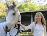 Brisbane Biodynamic Craniosacral Therapy for Horses